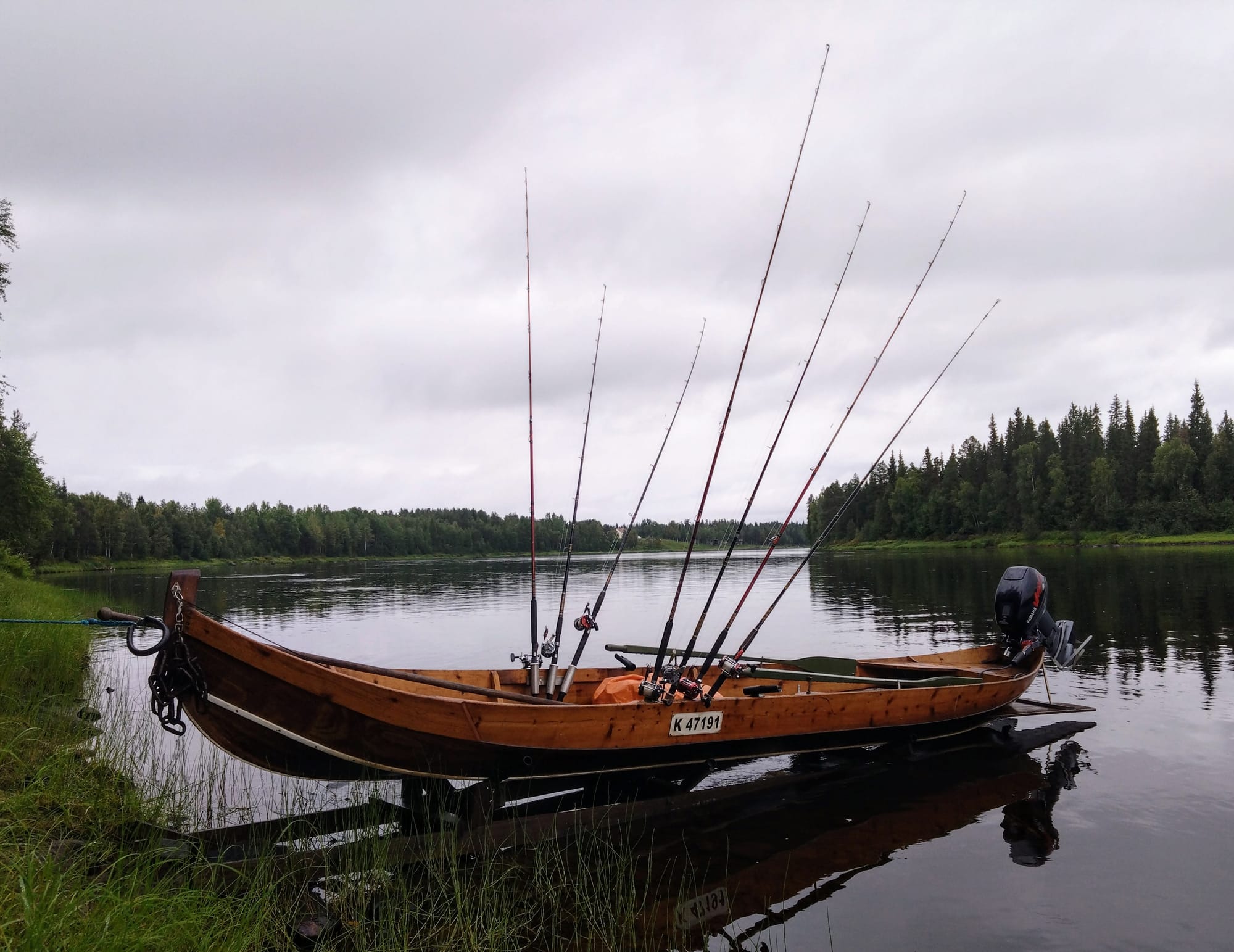 Lohen tulevaisuus näyttää huonolta