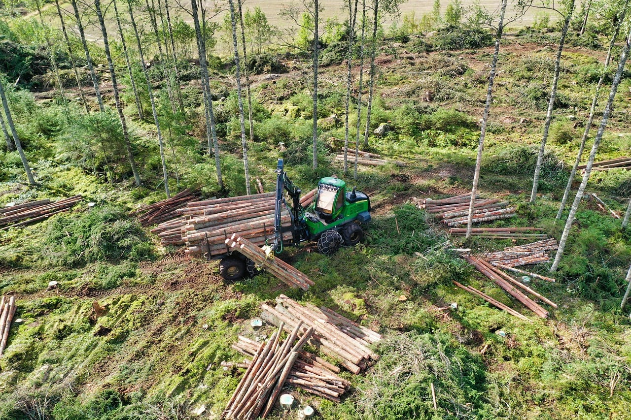 Hallitus korotti Metsähallituksen tuloutusta 11 miljoonalla - paine harkitsemattomille hakkuille valtion mailla kasvaa