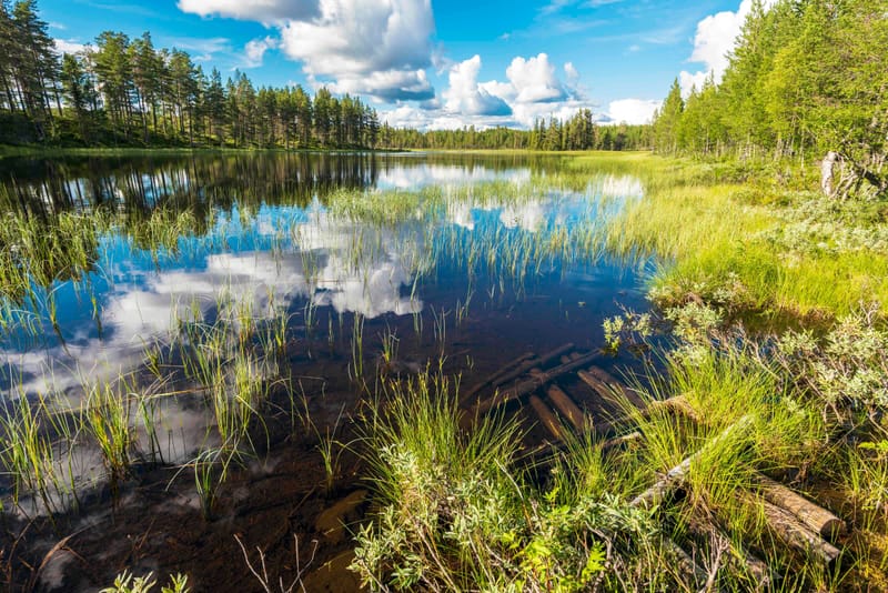 Vesistöjen suojavyöhykkeet lakiin, vaatii uusi kansalaisaloite post image