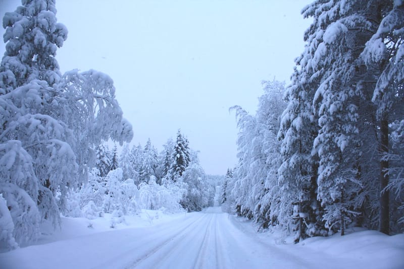 Itä-Suomessa todellakin tiedetään kaupungistumisen väistämättömyys post image