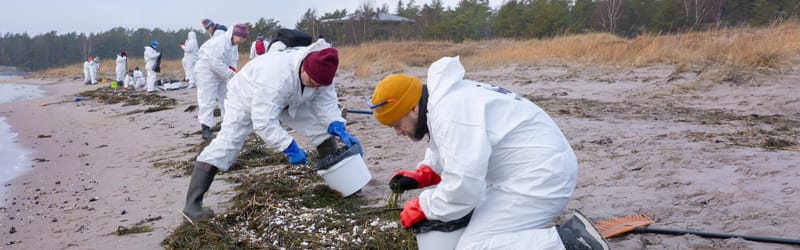 Nesteen aluksesta peräisin oleva rasvaseos sotki Hangon rannat – vapaaehtoisia löytyi nopeasti post image