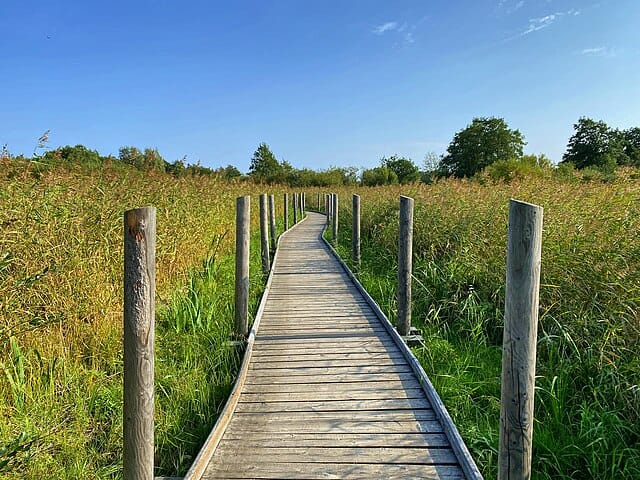 Luontopalvelut vaarassa: SLL varoittaa leikkausten vaikutuksista luonnon virkistyskäyttöön post image