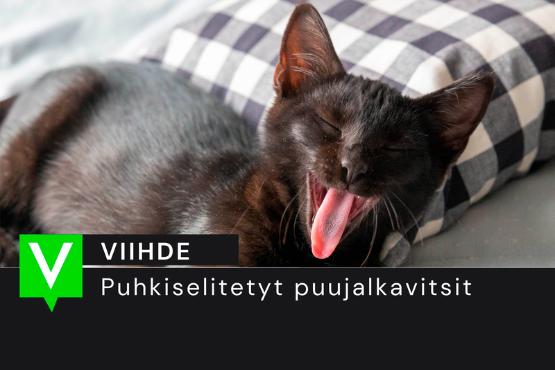 Puhkiselitetyt puujalkavitsit: skitta karkuteillä post image